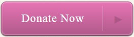 Pink Donate Button